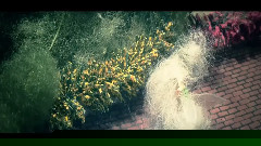 古川本舗 - 問うてはその応え