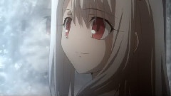 Fate/Zero 完结纪念MAD 中文字幕