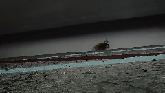 Rubber Band - 你和我