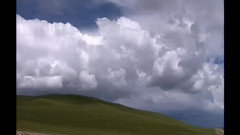 民乐群星 - 牧羊曲 古筝版