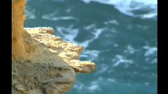 民乐群星 - 小薇 古筝版