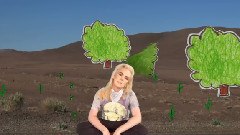 Miss Guy - Beautiful Stranger