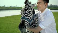 刘德华 - 余生一起过