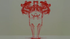 Wild Swim - Bright Eyes