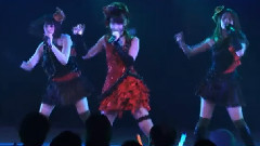 純情主義 (柏毛&平田&竹内)