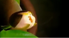 Giovanni Marradi - Forever