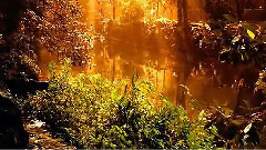 Enigma - Deja Vu (Seven Lives Many Faces)