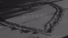 于无声处集珠玑