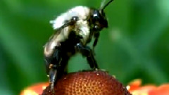 Remember The Good Things