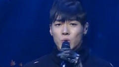 辉星 - 星之陨落