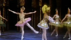 芭蕾舞< 堂吉诃德 > 选段