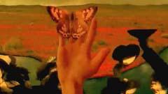 The Shock Of The Lightning