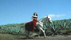 Shania Twain - Don’t!