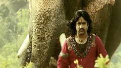 印度群星 - Maha Rudra Shakti