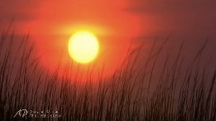 Giovanni Marradi - This Little Big Love