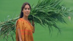 印度群星 - Khudaya Khair