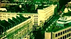 薛汀哲 - 大黄蜂