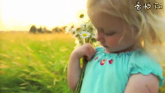 Stamatis Spanoudakis - Spring Of Life