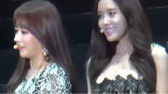 介绍演唱会的主题