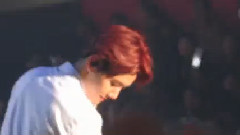 Christmas Wonderland