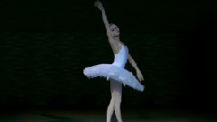 芭蕾 天鹅之死