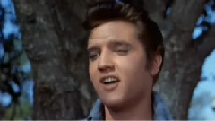 Elvis Presley - Gotta Lotta Living To Do