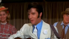 Elvis Presley - Clean Up Your Own Back Yard