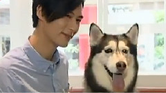 严爵 - 完全娱乐