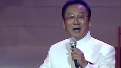 在那桃花盛开的地方