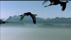 刘子琪 - 遇上你是我的缘