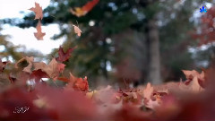 Giovanni Marradi - Historia De Un Amor