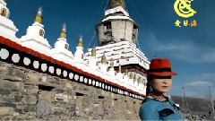 民乐群星 - 阿妈啦曲央卓玛