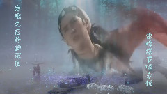 民乐群星 - 奈何的女儿