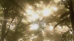 Giovanni Marradi - Lysistrata