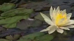 Giovanni Marradi - On Herring Pond