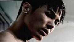 辉星 - 完美男人