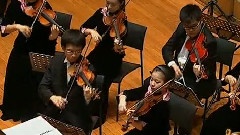 D大调中提琴协奏曲