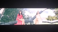 开场视频 & Flower Power