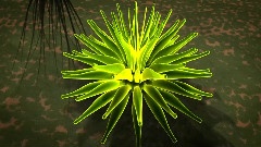 执手天涯,万树繁花 (音乐动漫月光剪辑)