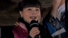 王二妮 - 大辫子