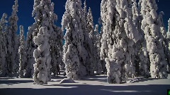 Bandari,音乐短片,轻音乐 - 雪之梦