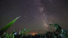 Bandari,音乐短片,轻音乐 - Snow 静静的雪