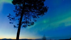 Bandari,音乐短片,轻音乐 - 变幻的风