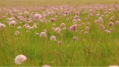 心灵睡过的地方 风光版