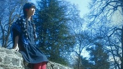 钉宫理惠 - foret noire