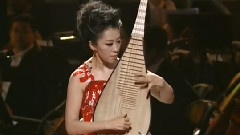 赵聪 - 新十面埋伏 & 草原英雄小姐妹 & 送我一枝玫瑰花