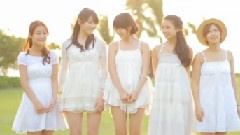 アロハロ!写真拍摄花絮