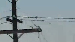 The APPLES IN STEREO - Onto Something