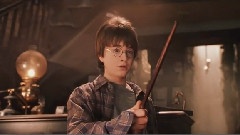 A Tribute to the Magic