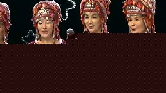 民乐群星 - 美丽姑娘